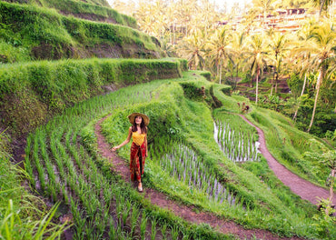 Classic Bali 8 days/7 nights Experience
