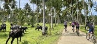 Sri Lanka by Bicycle 8 Days/ 7 Nights