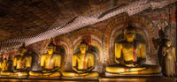 Best Of Ceylon in Sri Lanka 11 Days/ 10 Nights