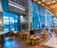 A Date with Penguins - The Coolest Experience in Dubai!