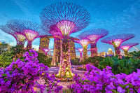Classic Singapore 4 Days/ 3 Nights