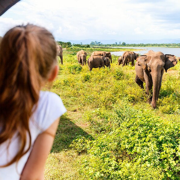 Family Fun in Sri Lanka 14 Days/ 13 Nights