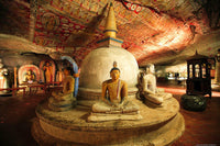 Family Fun in Sri Lanka 14 Days/ 13 Nights