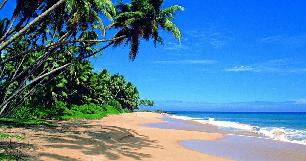 Family Fun in Sri Lanka 14 Days/ 13 Nights