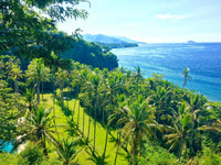 Exploring Indonesia 11 days/10 nights Experience