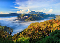 Exploring Indonesia 11 days/10 nights Experience