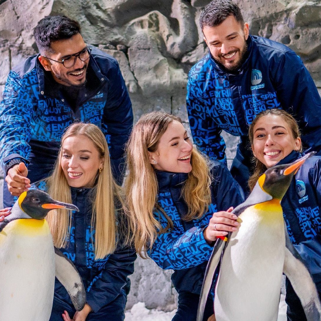 A Date with Penguins - The Coolest Experience in Dubai!
